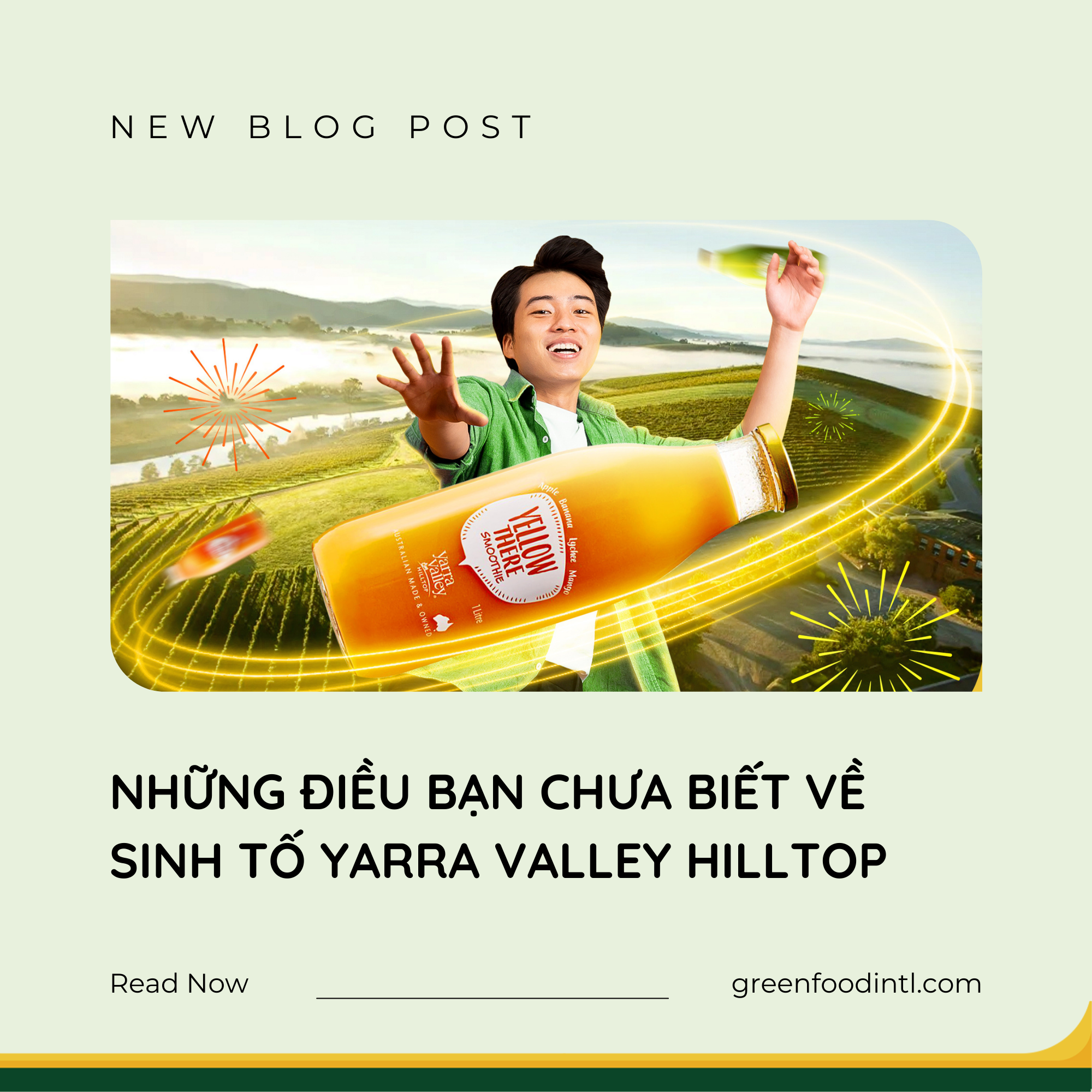 NHỮNG ĐIỀU BẠN CHƯA BIẾT VỀ SINH TỐ YARRA VALLEY HILLTOP