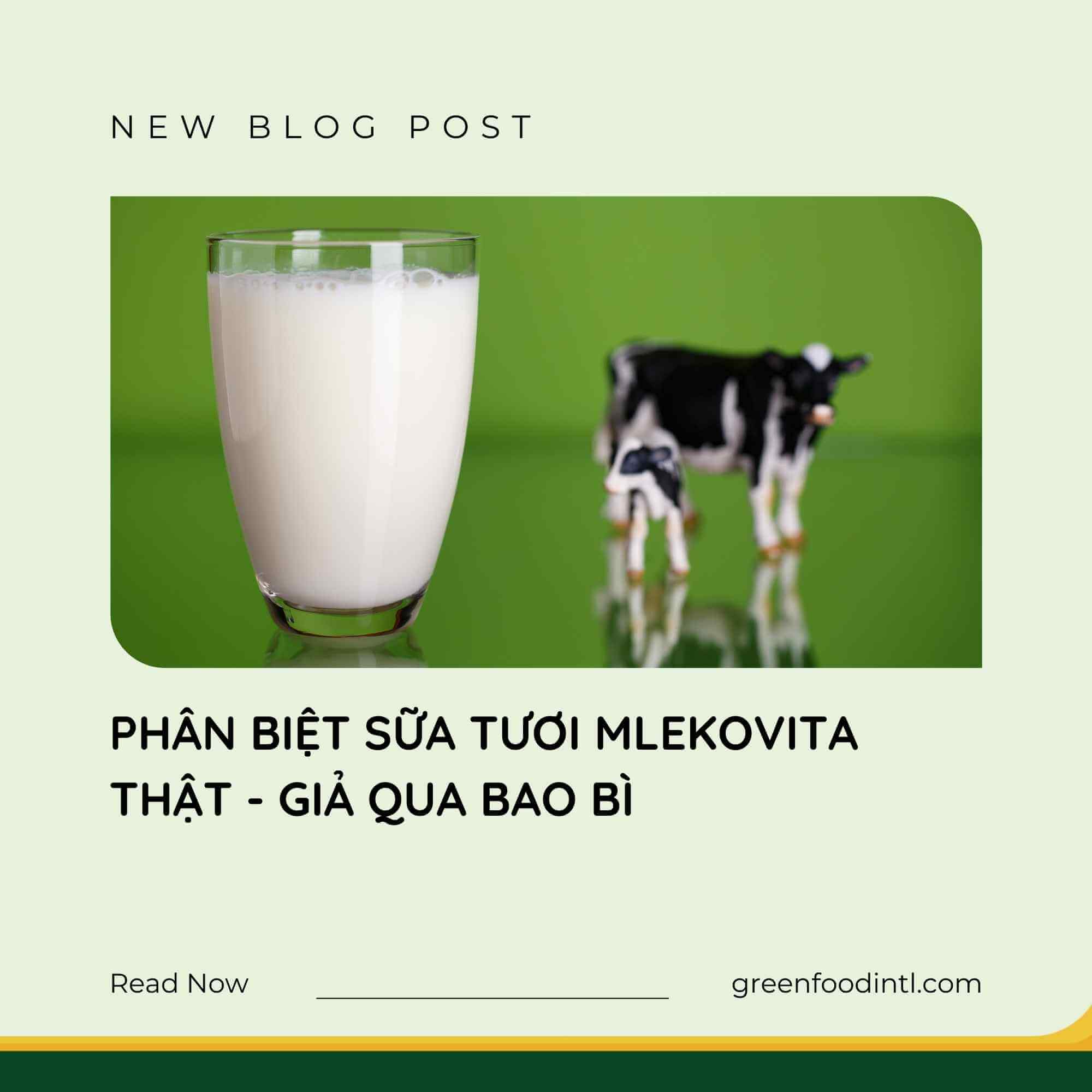 PHÂN BIỆT SỮA TƯƠI MLEKOVITA THẬT - GIẢ QUA BAO BÌ
