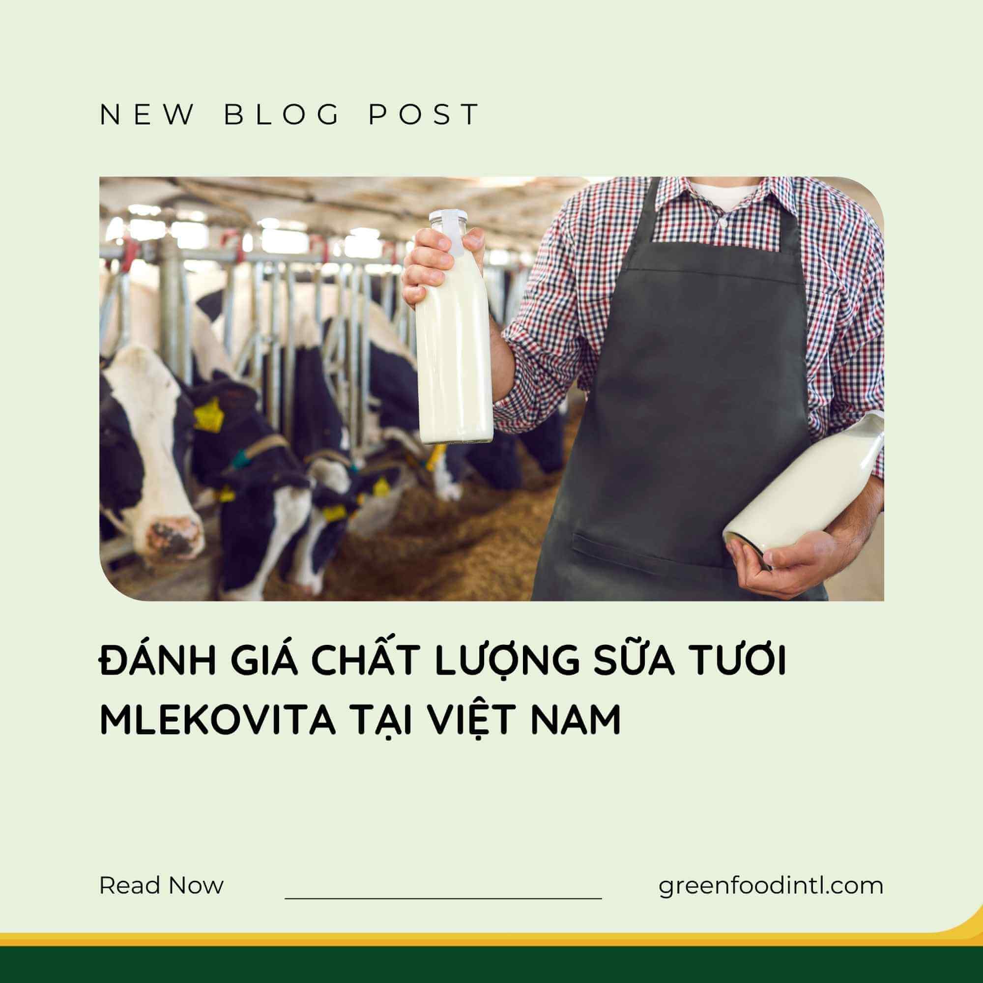 ĐÁNH GIÁ CHẤT LƯỢNG SỮA TƯƠI MLEKOVITA TẠI VIỆT NAM