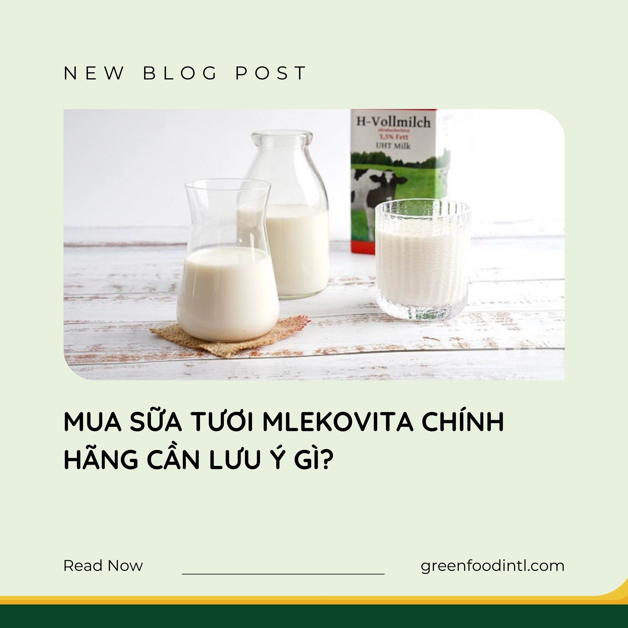 MUA SỮA TƯƠI MLEKOVITA CHÍNH HÃNG CẦN LƯU Ý GÌ?