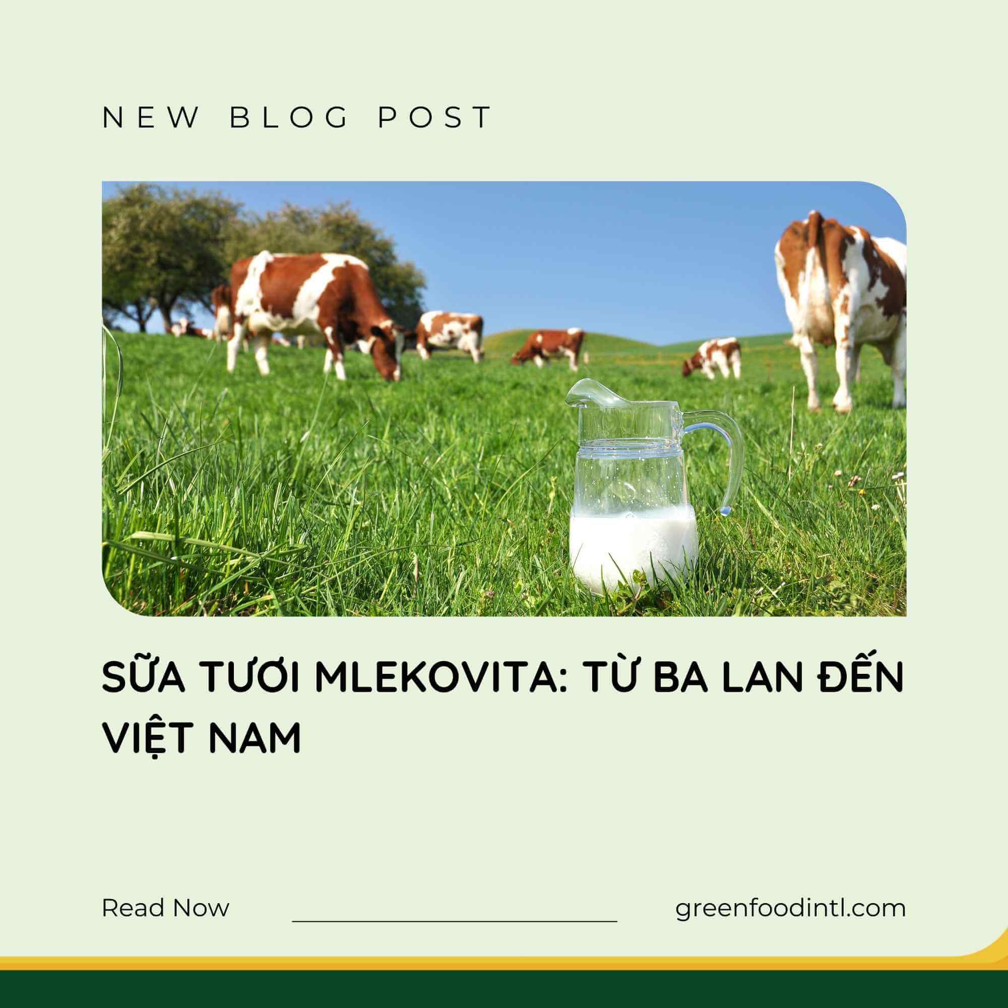 SỮA TƯƠI MLEKOVITA: TỪ BA LAN ĐẾN VIỆT NAM