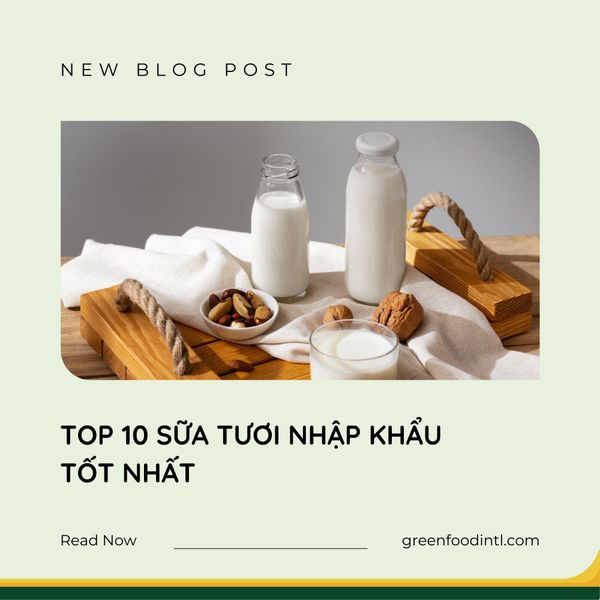 TOP 10 SỮA TƯƠI NHẬP KHẨU TỐT NHẤT 2024