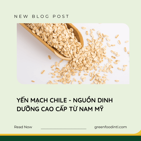YẾN MẠCH CHILE - NGUỒN DINH DƯỠNG CAO CẤP TỪ NAM MỸ