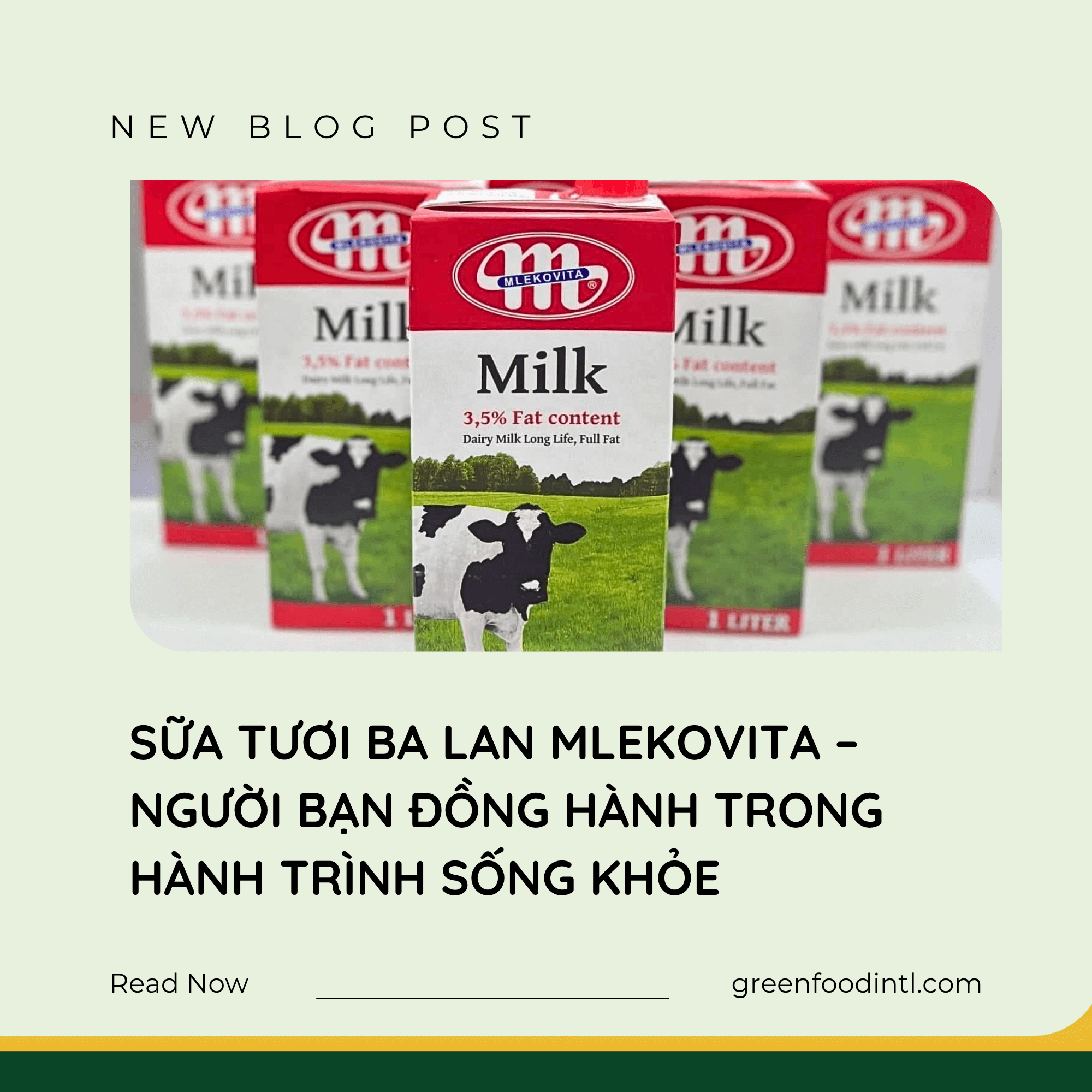 SỮA TƯƠI BA LAN MLEKOVITA – NGƯỜI BẠN ĐỒNG HÀNH TRONG HÀNH TRÌNH SỐNG KHỎE