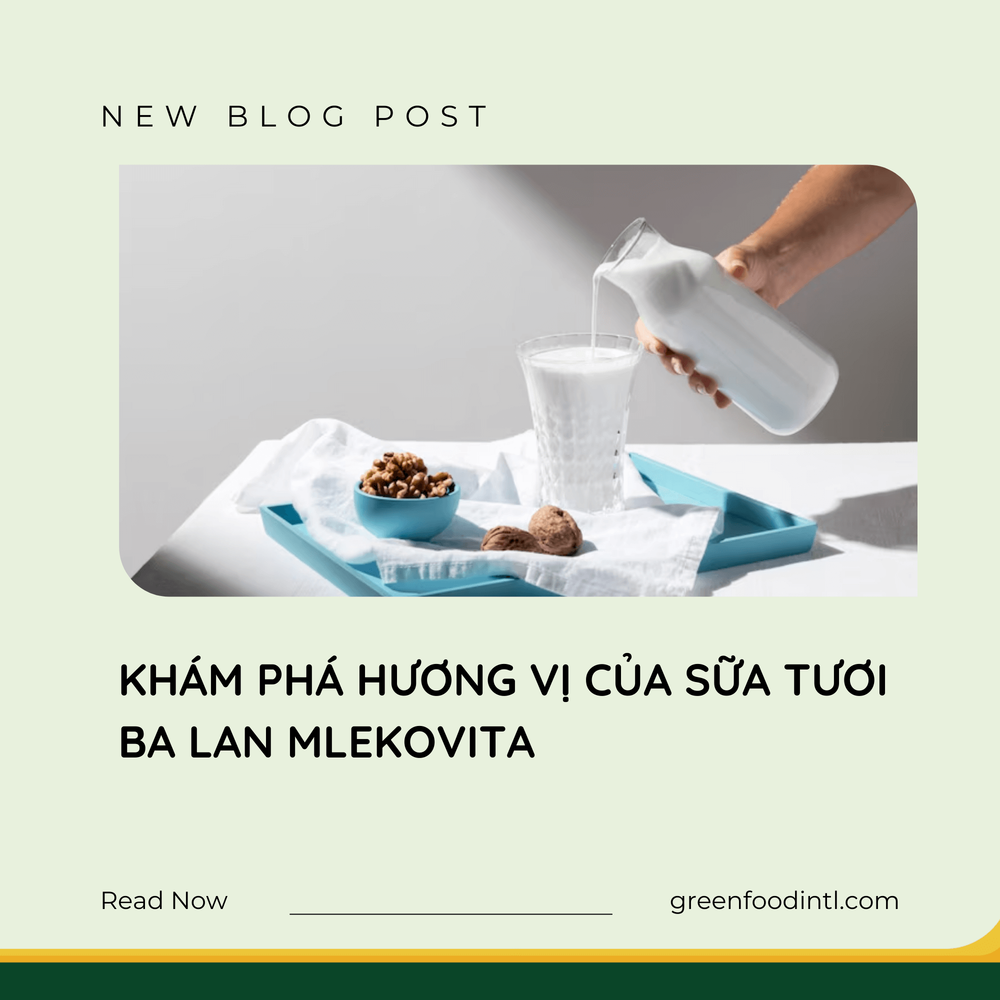 KHÁM PHÁ HƯƠNG VỊ CỦA SỮA TƯƠI BA LAN MLEKOVITA
