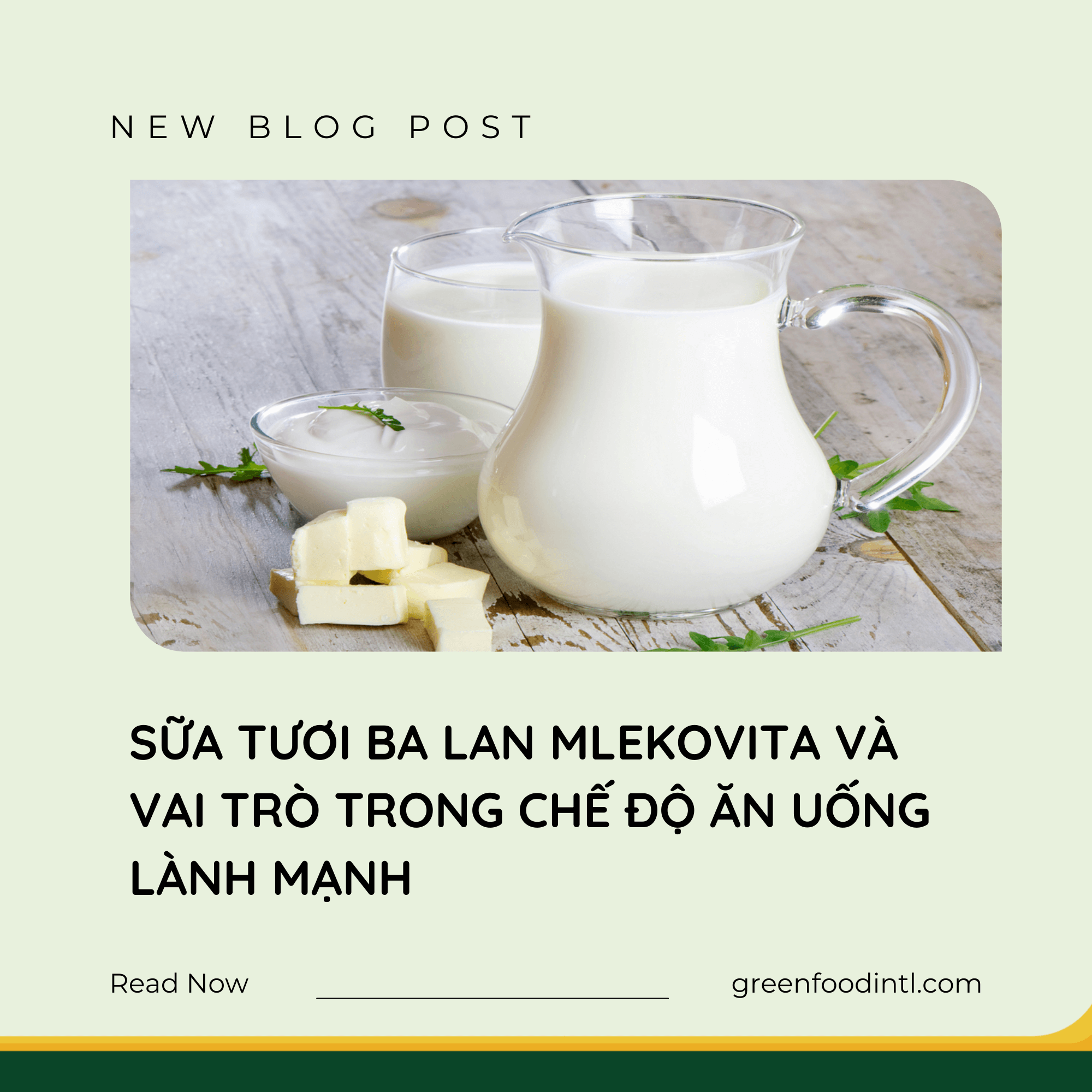 SỮA TƯƠI BA LAN MLEKOVITA VÀ VAI TRÒ TRONG CHẾ ĐỘ ĂN UỐNG LÀNH MẠNH