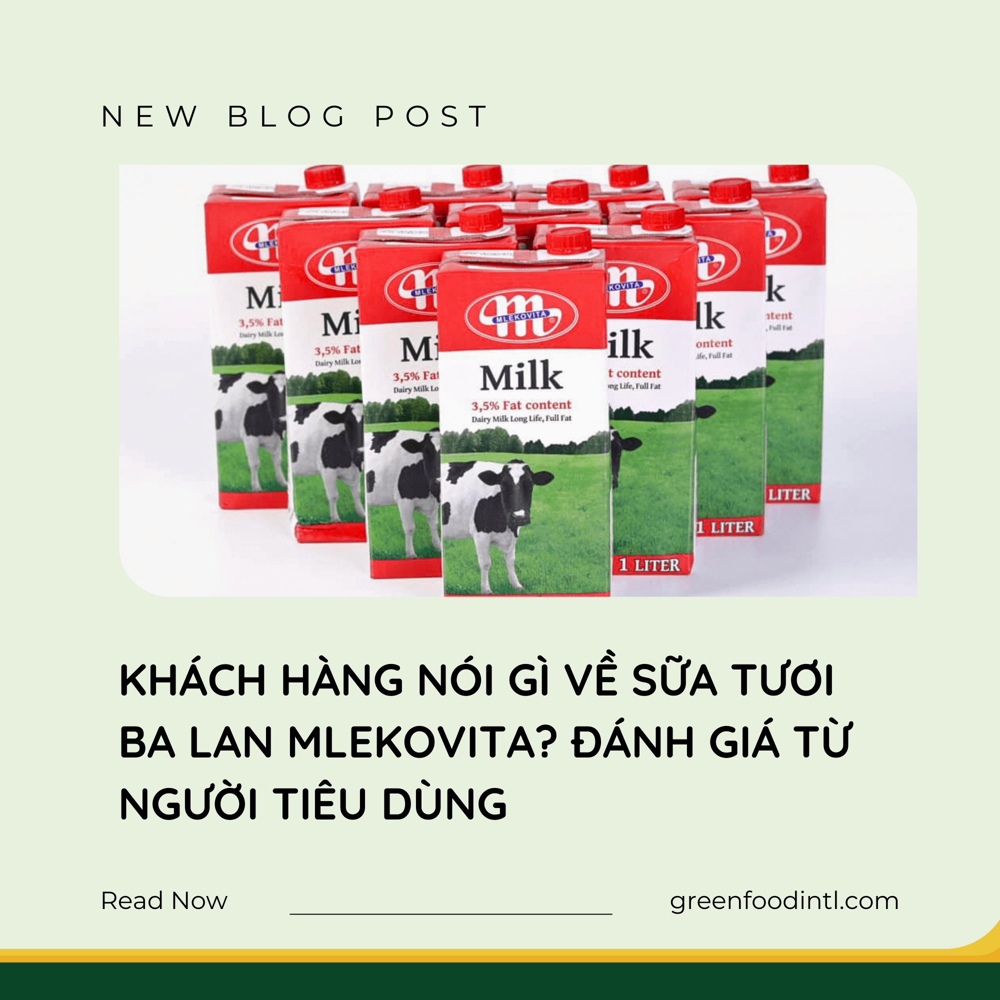 KHÁCH HÀNG NÓI GÌ VỀ SỮA TƯƠI BA LAN MLEKOVITA? ĐÁNH GIÁ TỪ NGƯỜI TIÊU DÙNG