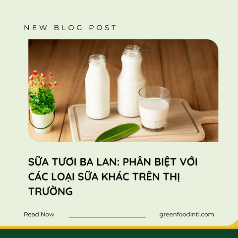 SỮA TƯƠI BA LAN: PHÂN BIỆT VỚI CÁC LOẠI SỮA KHÁC TRÊN THỊ TRƯỜNG