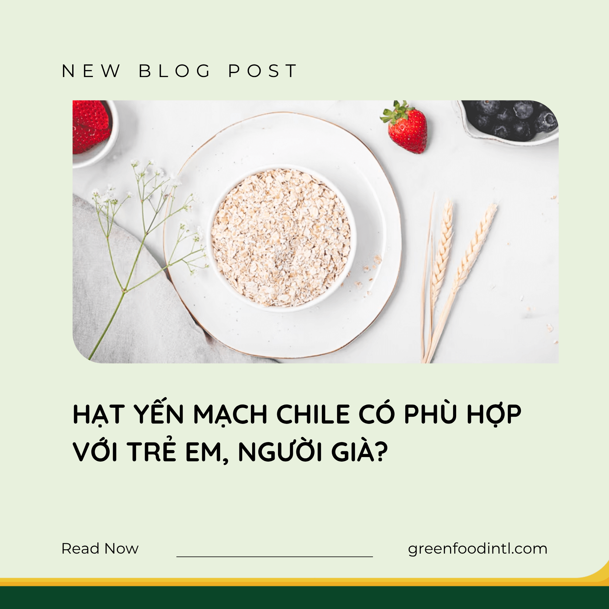 HẠT YẾN MẠCH CHILE CÓ PHÙ HỢP VỚI TRẺ EM, NGƯỜI GIÀ?