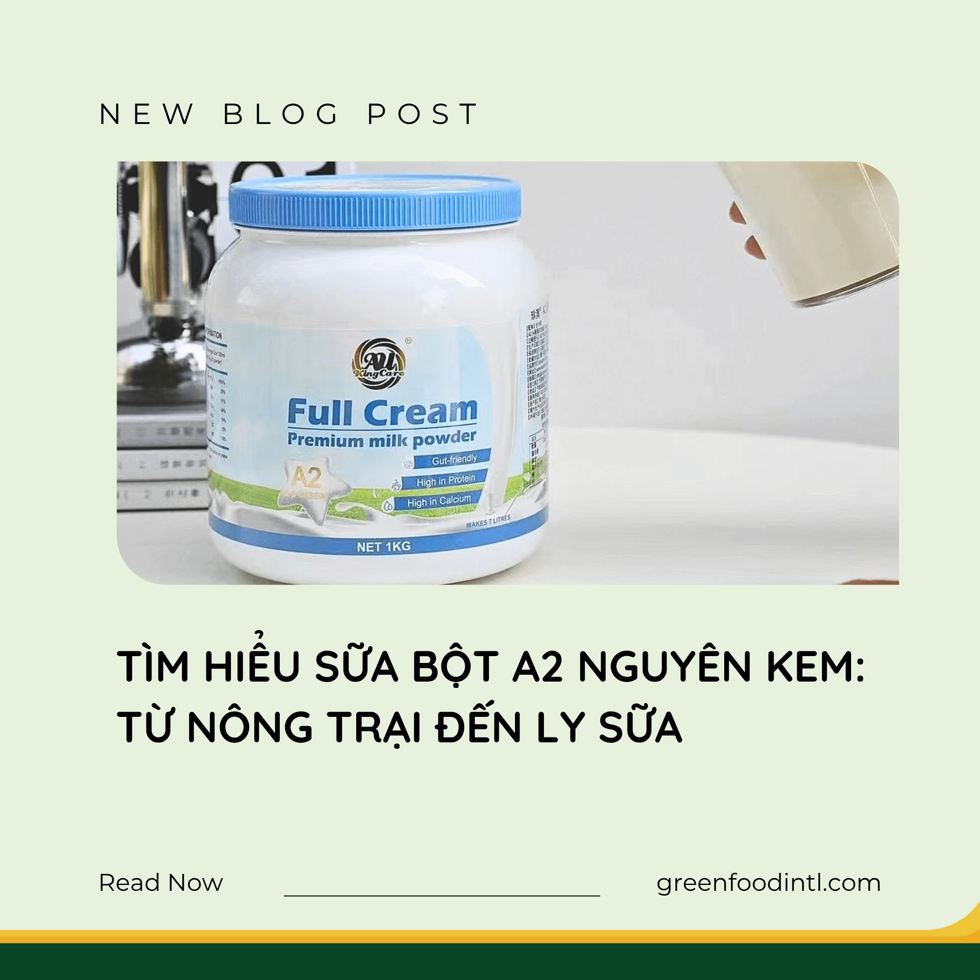 TÌM HIỂU SỮA BỘT A2 NGUYÊN KEM: TỪ NÔNG TRẠI ĐẾN LY SỮA