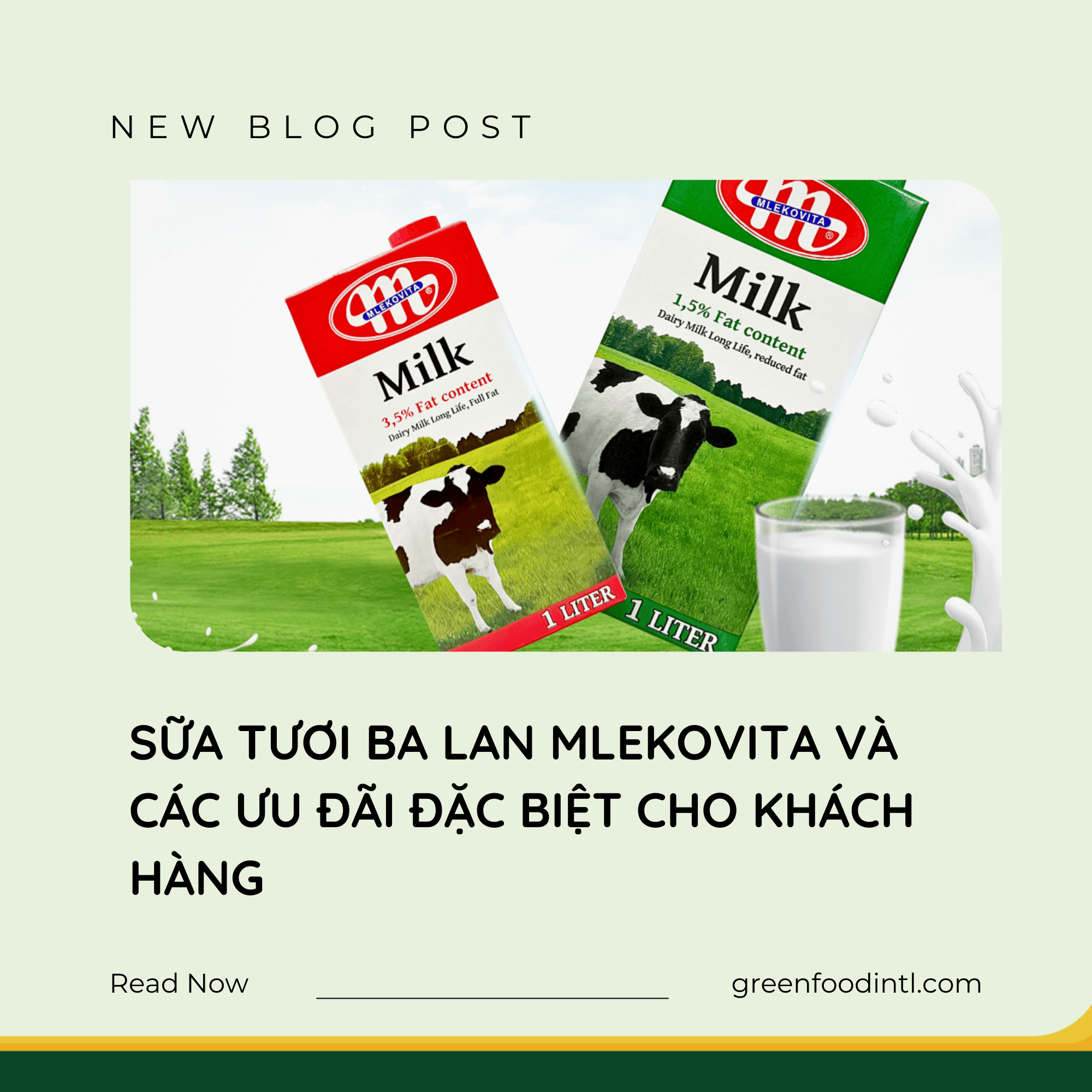 SỮA TƯƠI BA LAN MLEKOVITA VÀ CÁC ƯU ĐÃI ĐẶC BIỆT CHO KHÁCH HÀNG