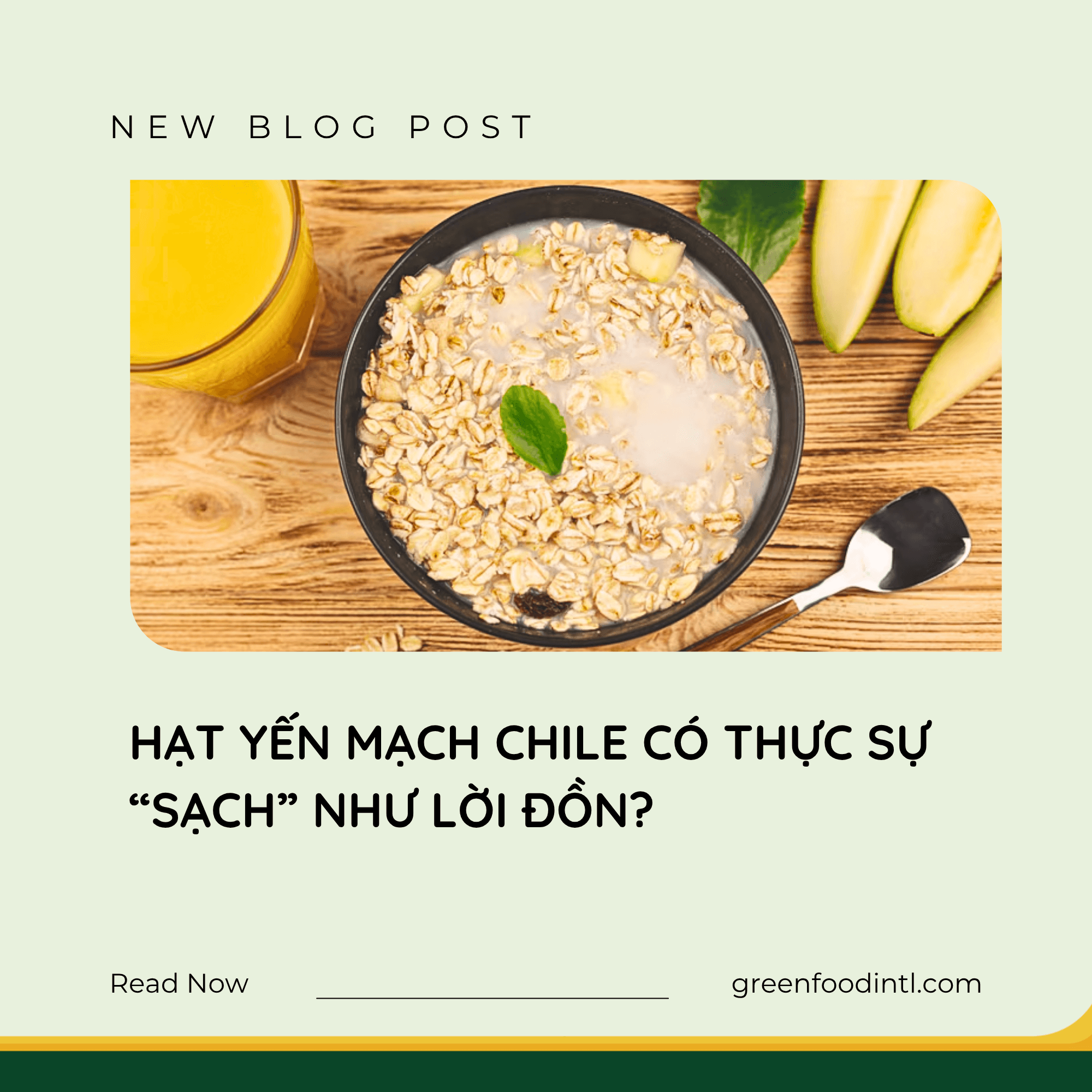 HẠT YẾN MẠCH CHILE CÓ THỰC SỰ “SẠCH” NHƯ LỜI ĐỒN?
