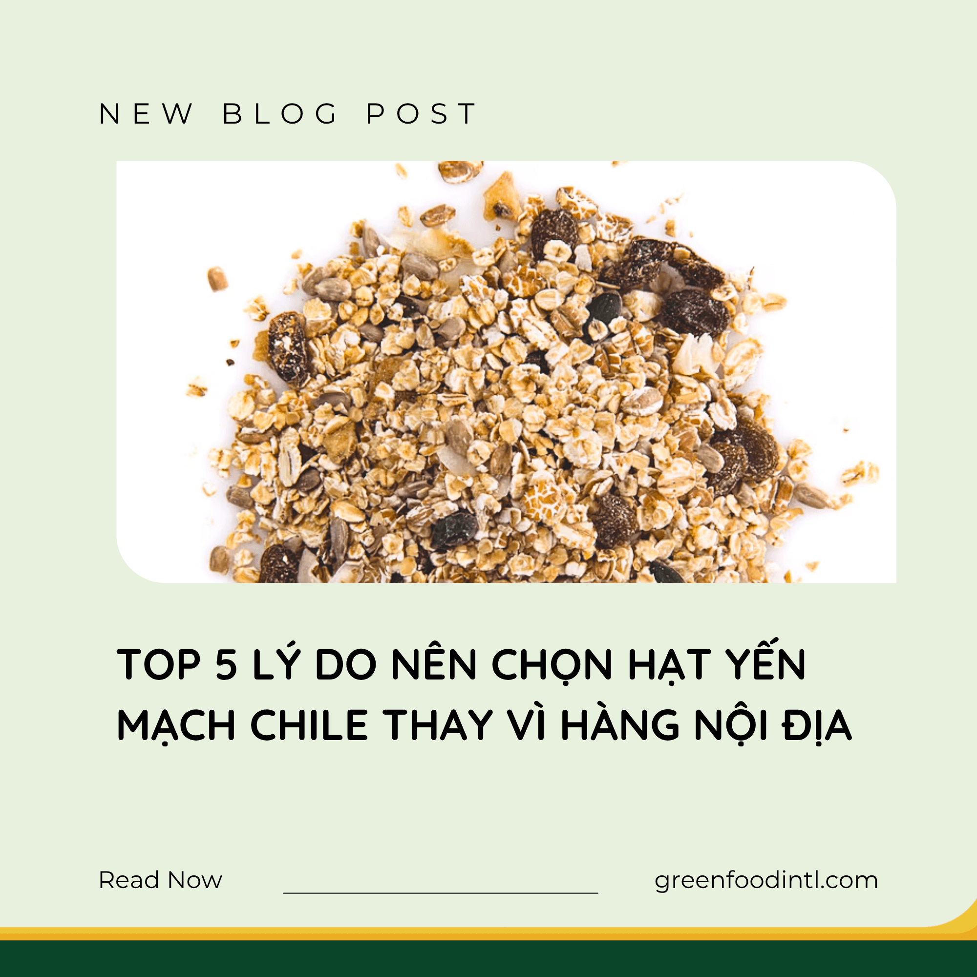 TOP 5 LÝ DO NÊN CHỌN HẠT YẾN MẠCH CHILE THAY VÌ HÀNG NỘI ĐỊA