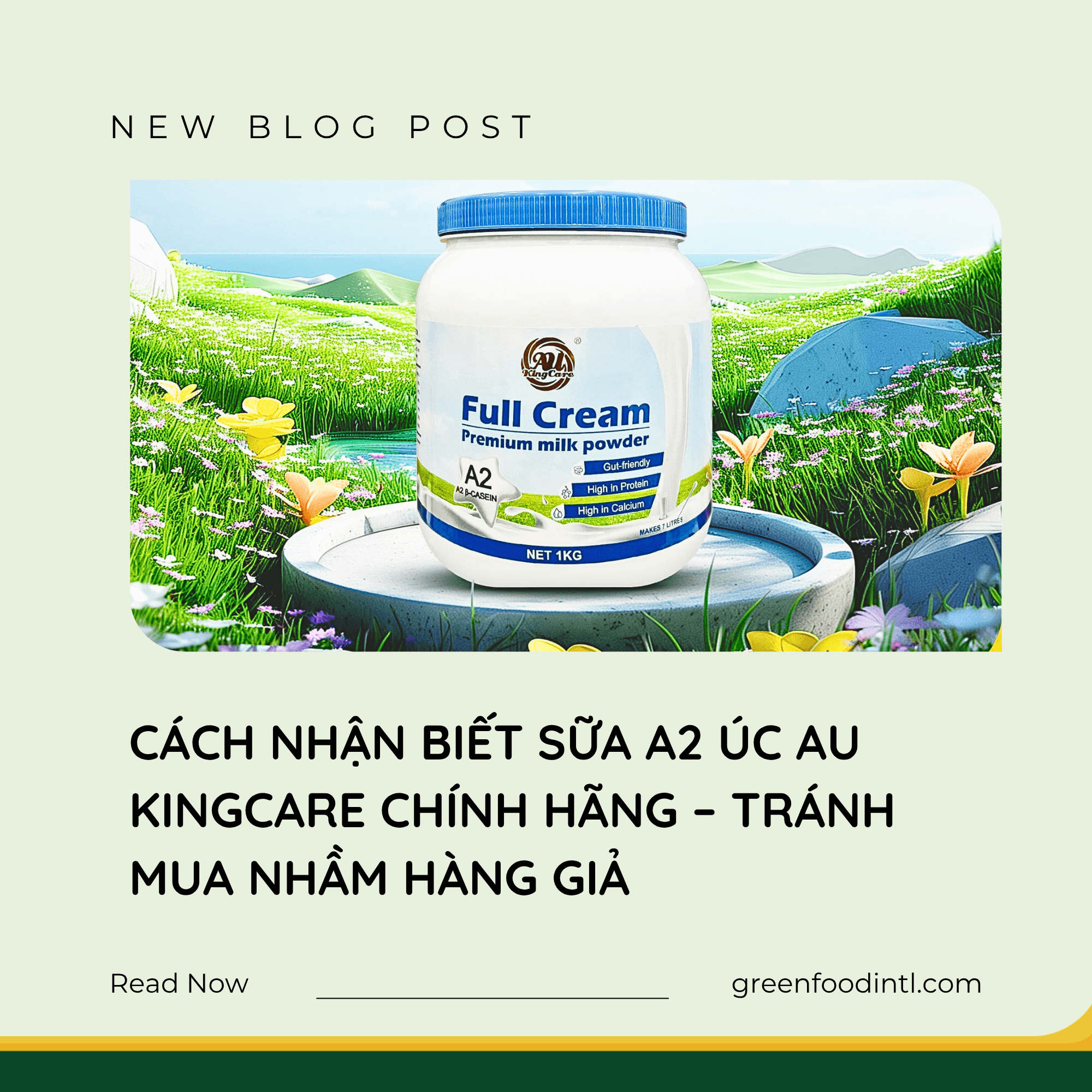 CÁCH NHẬN BIẾT SỮA A2 ÚC AU KINGCARE CHÍNH HÃNG – TRÁNH MUA NHẦM HÀNG GIẢ
