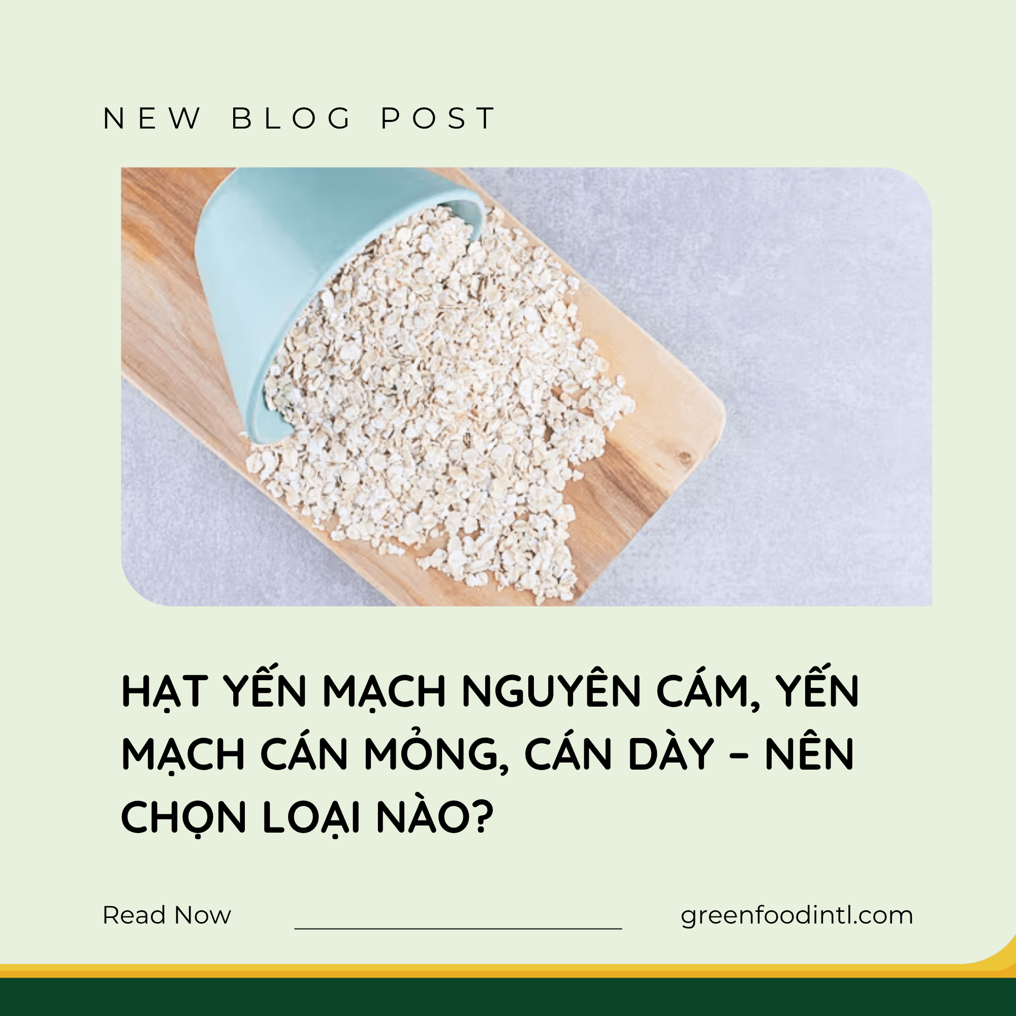 HẠT YẾN MẠCH NGUYÊN CÁM, YẾN MẠCH CÁN MỎNG, CÁN DÀY – NÊN CHỌN LOẠI NÀO?