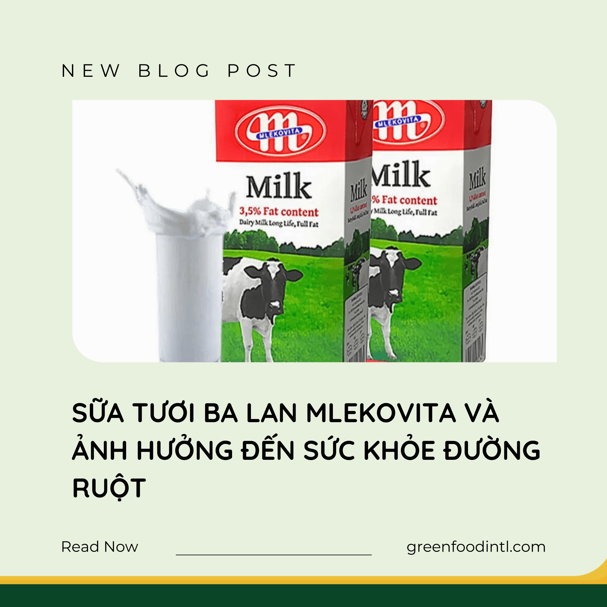 SỮA TƯƠI BA LAN MLEKOVITA VÀ ẢNH HƯỞNG ĐẾN SỨC KHỎE ĐƯỜNG RUỘT