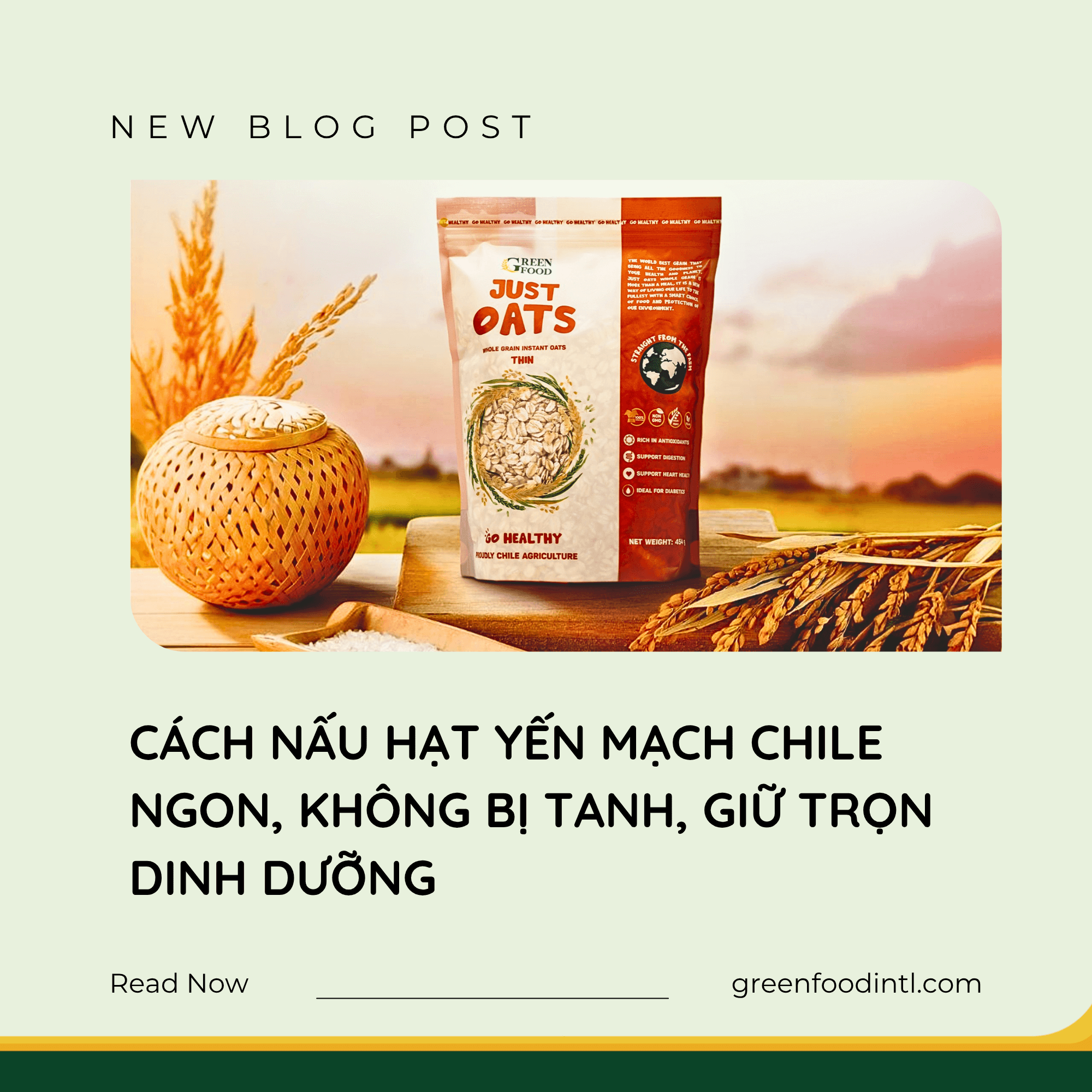 CÁCH NẤU HẠT YẾN MẠCH CHILE NGON, KHÔNG BỊ TANH, GIỮ TRỌN DINH DƯỠNG