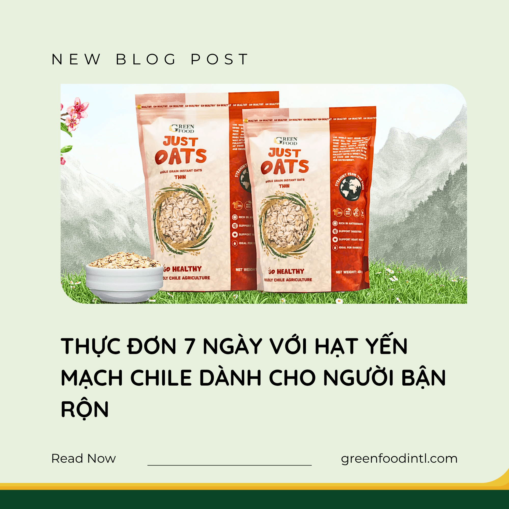 THỰC ĐƠN 7 NGÀY VỚI HẠT YẾN MẠCH CHILE DÀNH CHO NGƯỜI BẬN RỘN