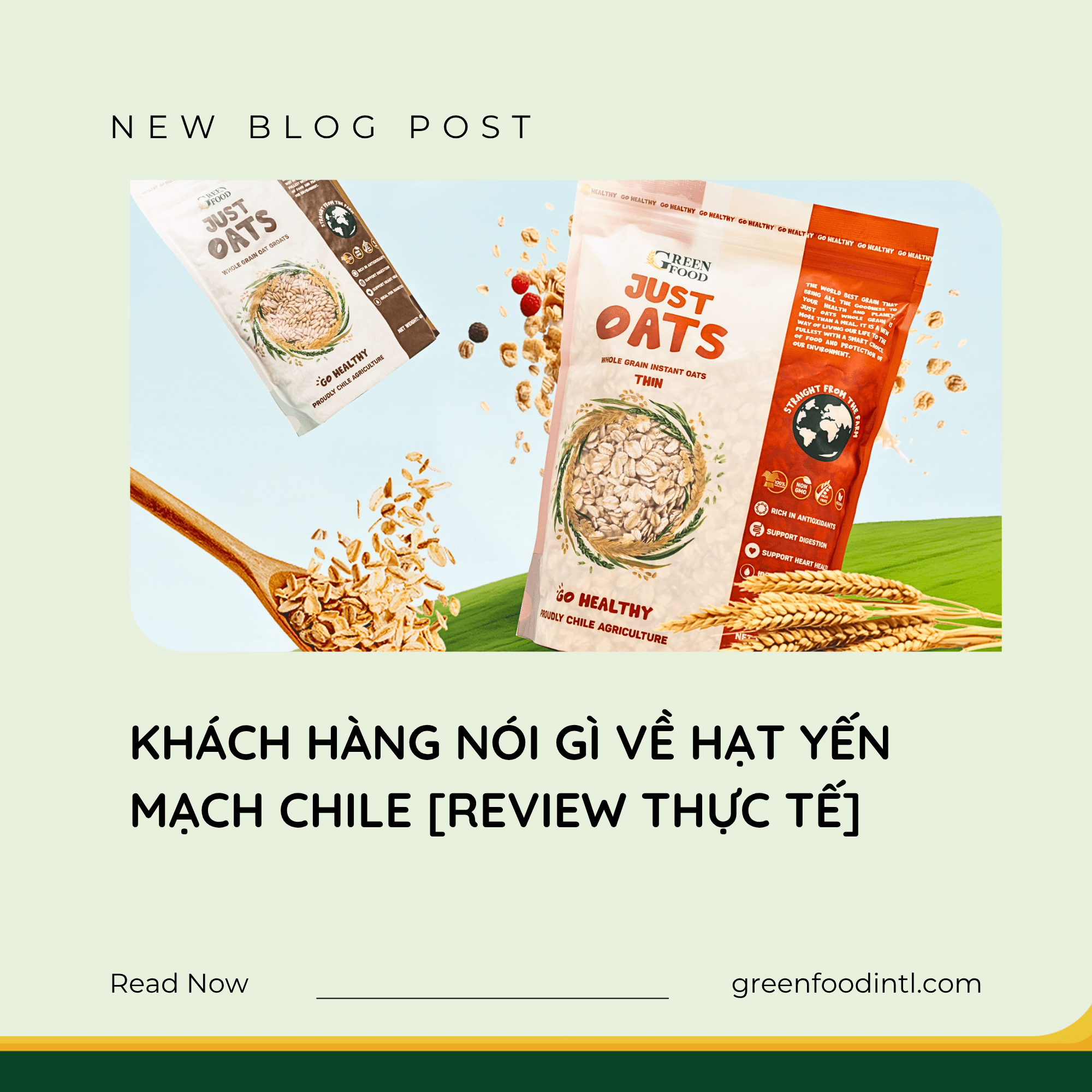 KHÁCH HÀNG NÓI GÌ VỀ HẠT YẾN MẠCH CHILE [REVIEW THỰC TẾ]