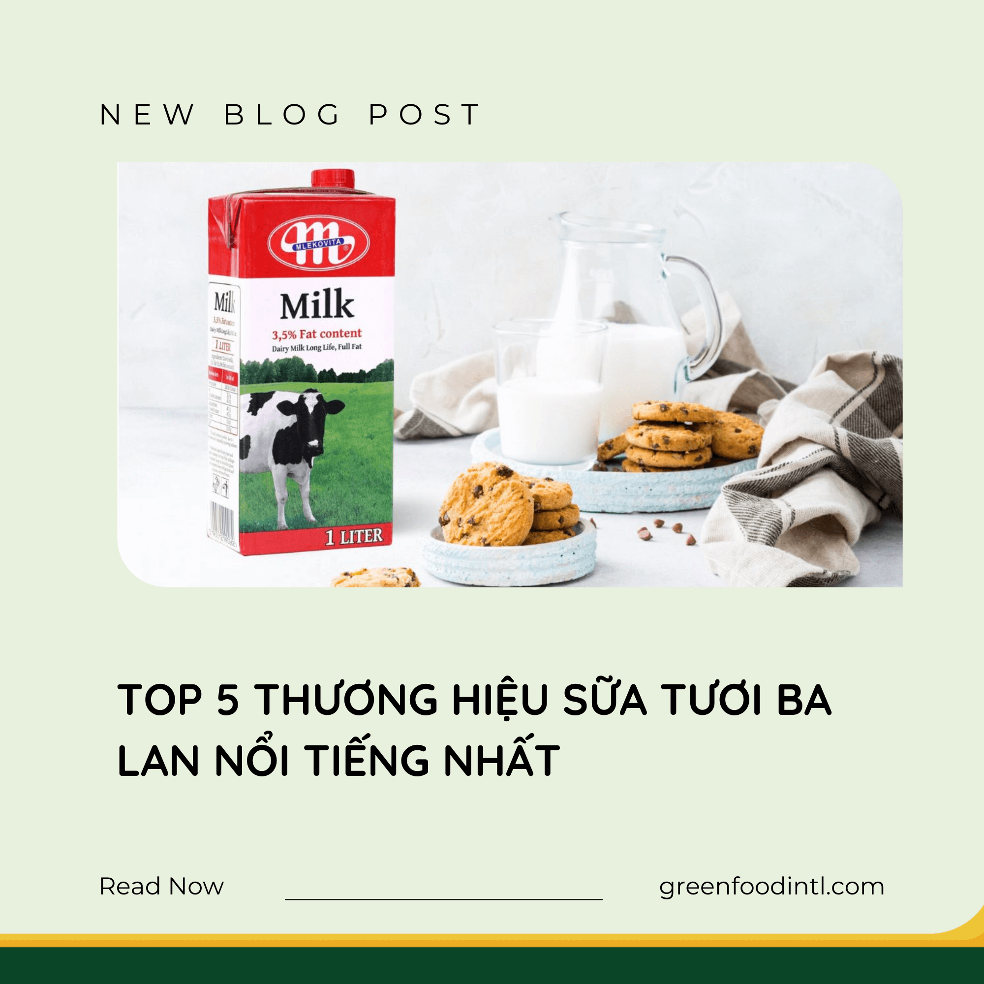 TOP 5 THƯƠNG HIỆU SỮA TƯƠI BA LAN NỔI TIẾNG NHẤT