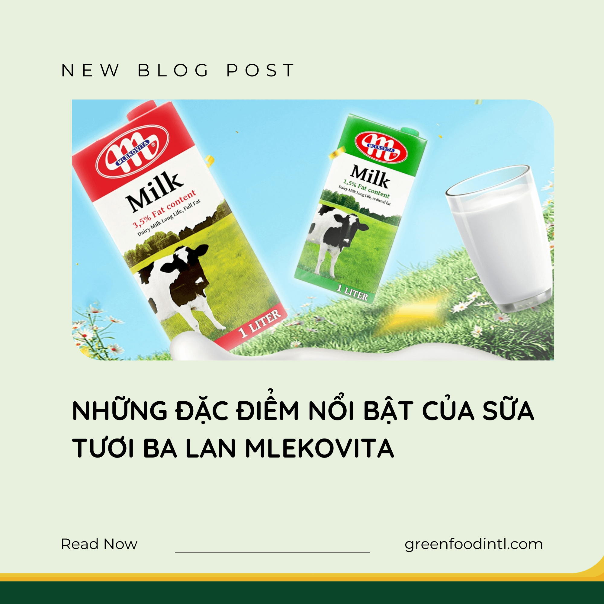 NHỮNG ĐẶC ĐIỂM NỔI BẬT CỦA SỮA TƯƠI BA LAN MLEKOVITA