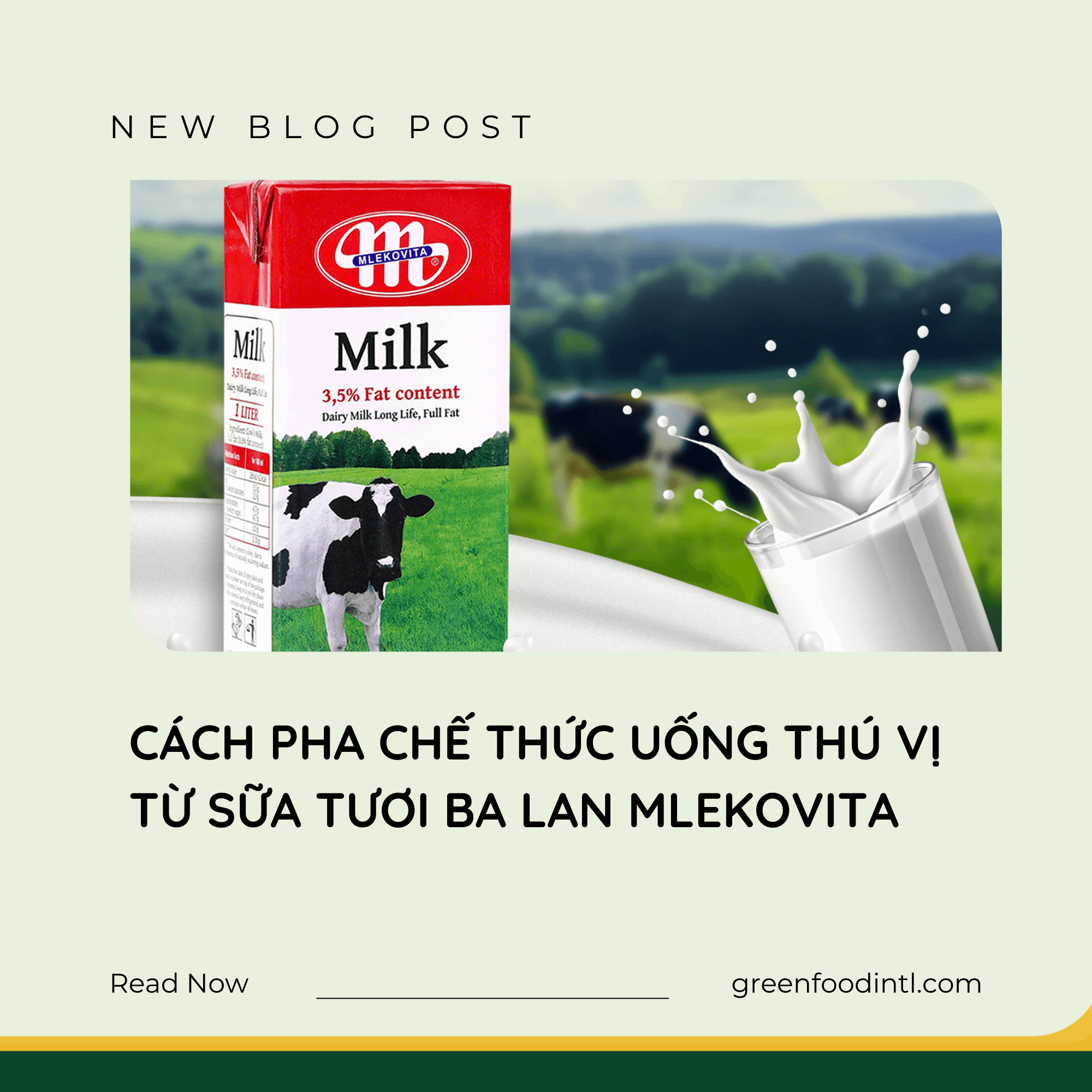 CÁCH PHA CHẾ THỨC UỐNG THÚ VỊ TỪ SỮA TƯƠI BA LAN MLEKOVITA