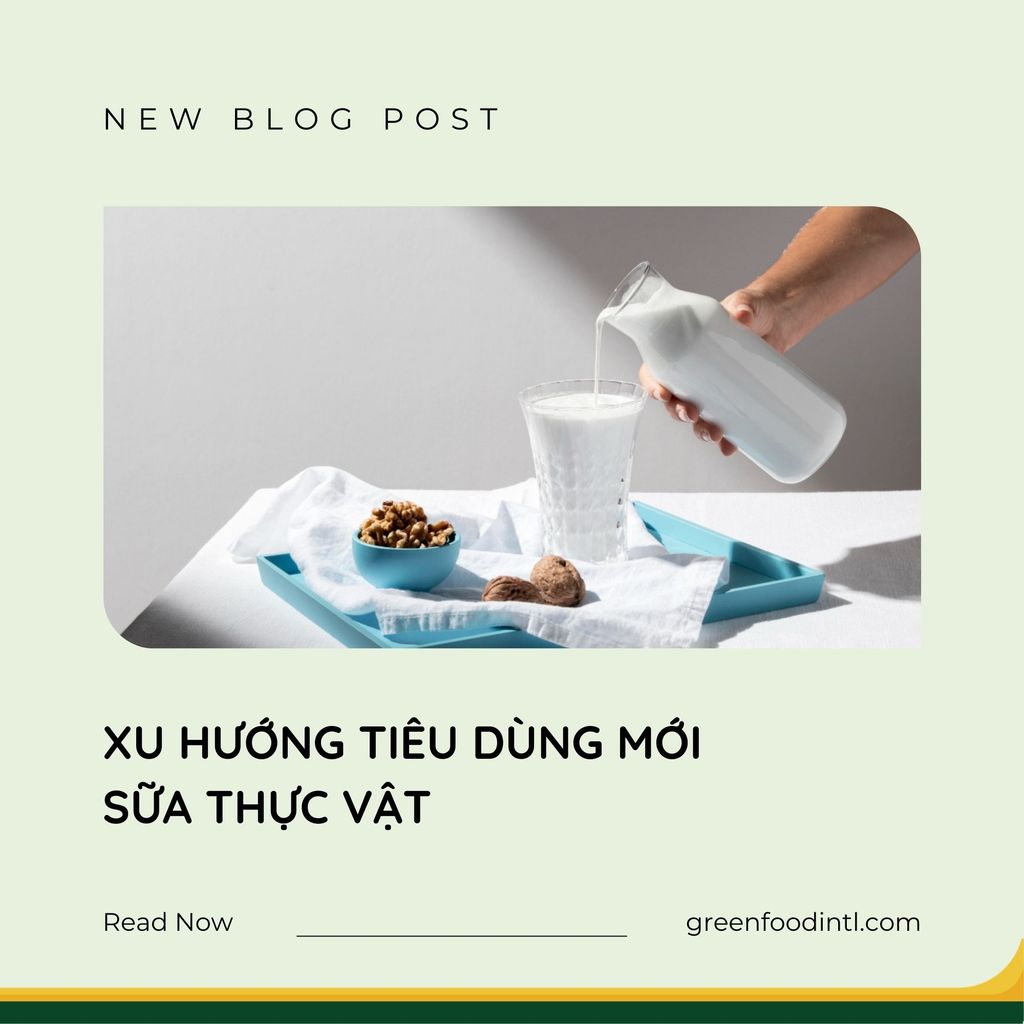 VÌ SAO SỮA HẠT TRỞ THÀNH 