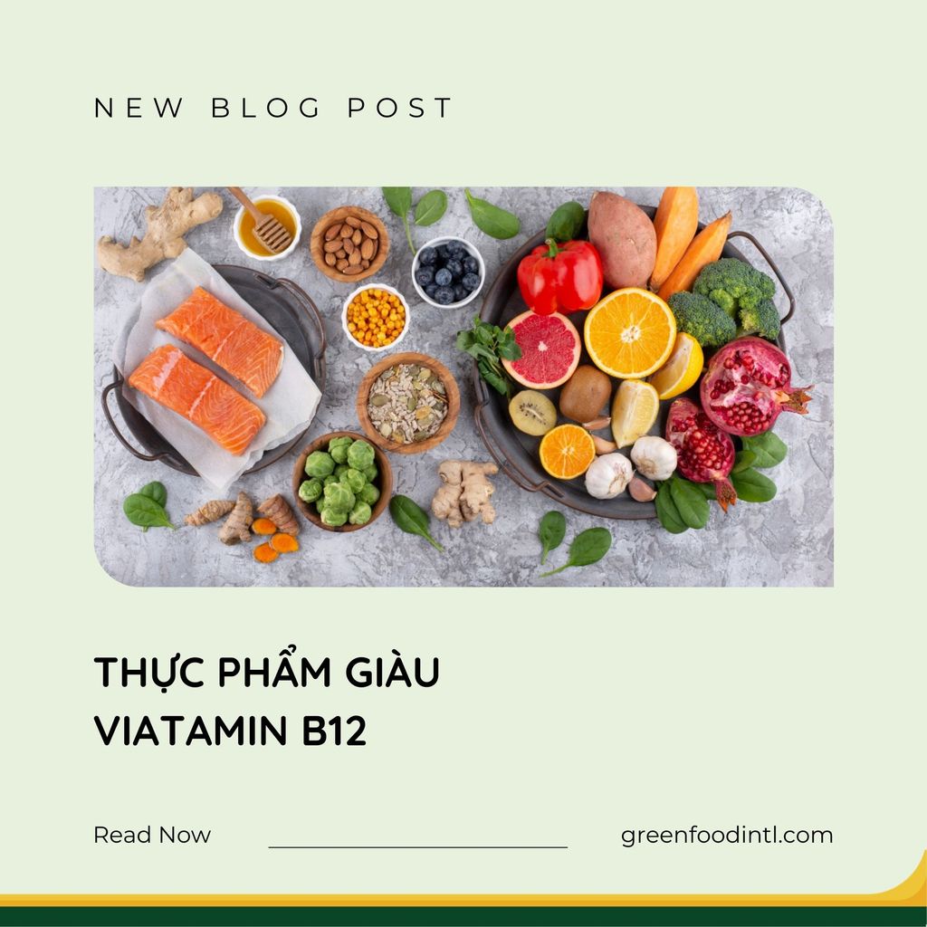 VITAMIN B12 CÓ TRONG THỰC PHẨM NÀO?