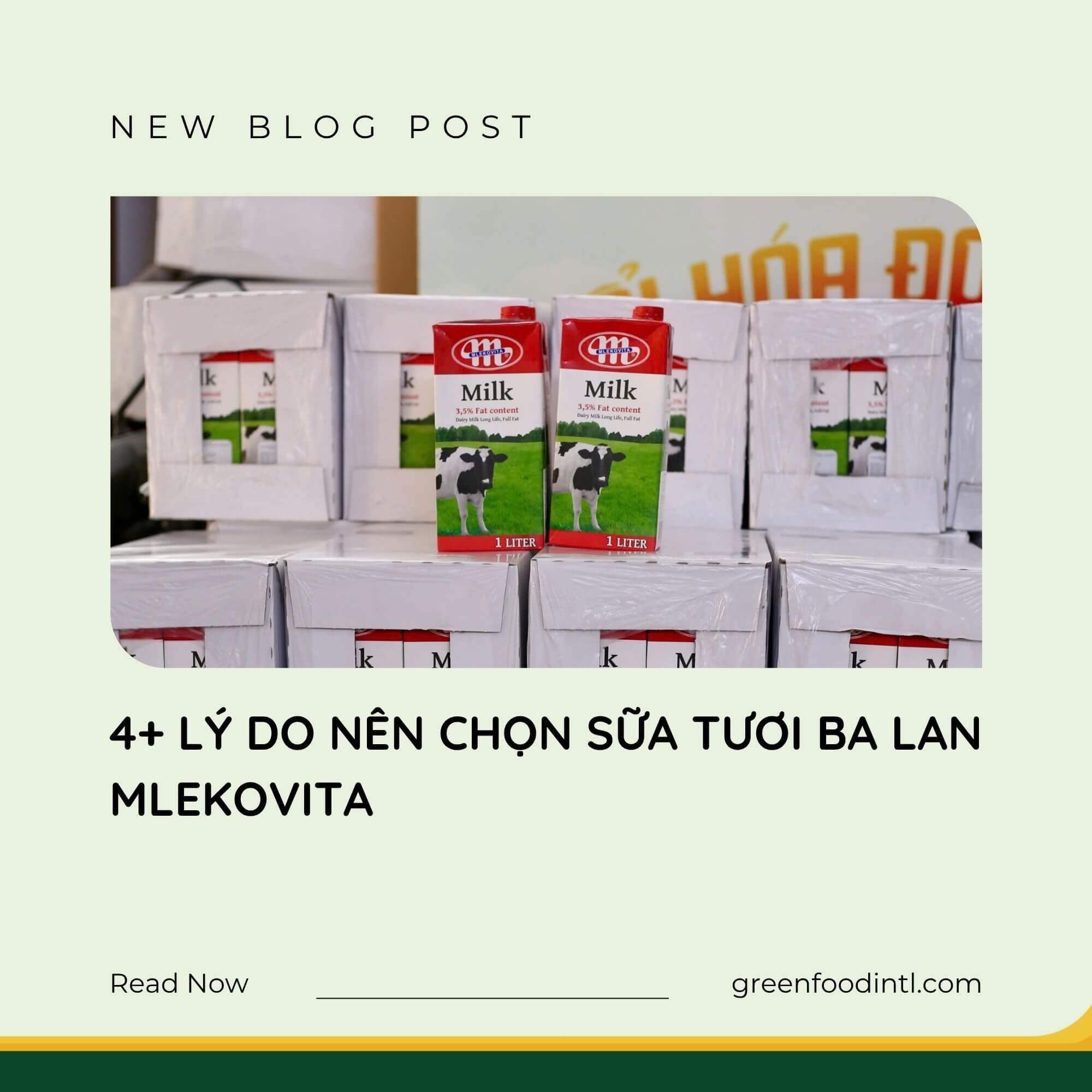 4+ LÝ DO NÊN CHỌN SỮA TƯƠI BA LAN MLEKOVITA