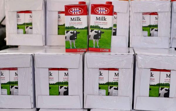 Nhà phân phối sữa tươi Mlekovita chính hãng