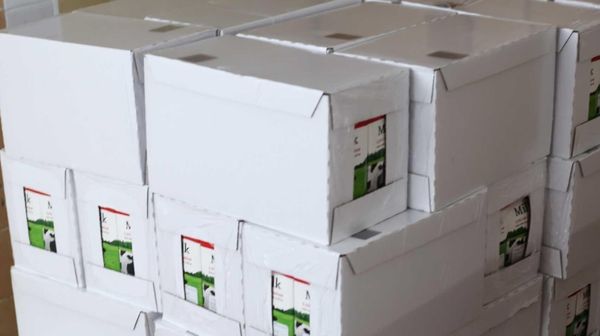 Mua sữa tươi Mlekovita chính hãng đúng nguồn