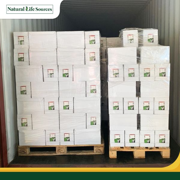 Nhà phân phối sữa tươi Mlekovita chính hãng