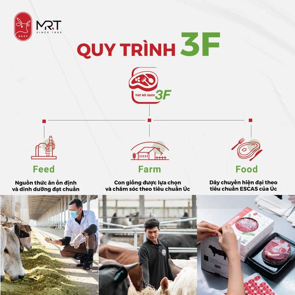 Quy Trình 3F tại Mr.T Beef Là Gì? – Thịt bò ngon Mr.T Beef