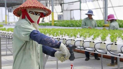 Agriculture - smart farmers: Southeast Asia learns from Israel