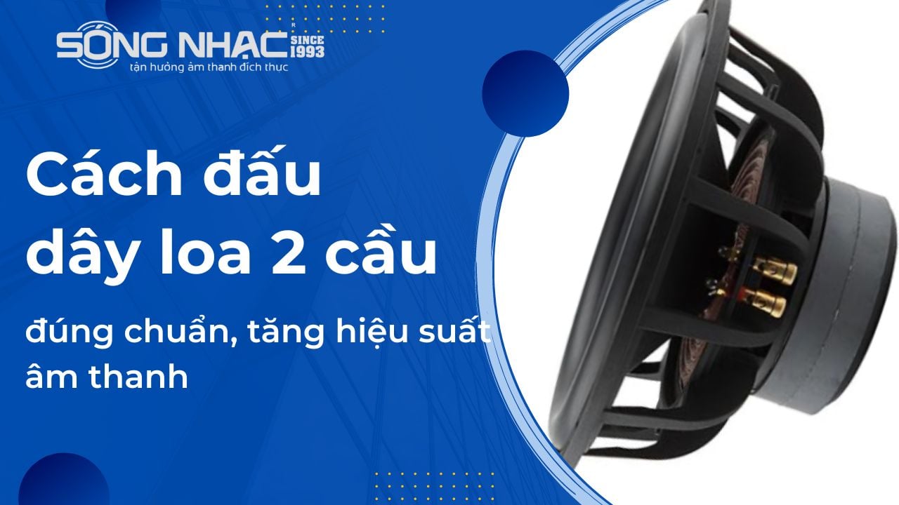 Loa 2 cầu là gì? Tìm hiểu đặc điểm và ưu điểm của loa 2 cầu