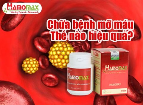 Bệnh mỡ máu là gì? Cách chữa bệnh mỡ máu như thế để hiệu quả?