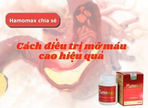 Hamomax chia sẻ chi tiết cách điều trị mỡ máu cao hiệu quả