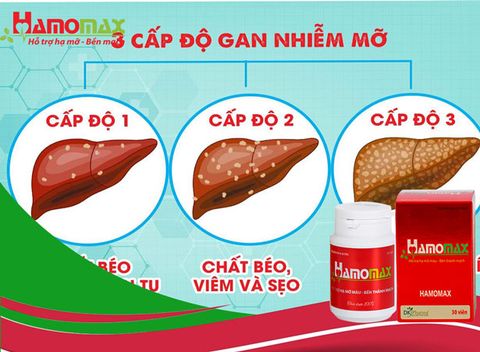 Hamomax chia sẻ bệnh gan nhiễm mỡ độ 1 và cách điều trị hiệu quả nhất hiện nay