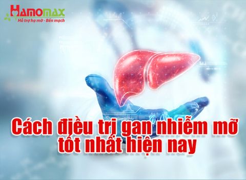 Bệnh gan nhiễm mỡ là gì? Cách điều trị gan nhiễm mỡ tốt nhất hiện nay