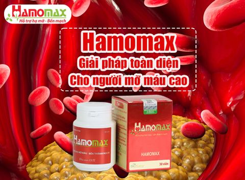 Hamomax – giải pháp toàn diện cho người mỡ máu cao