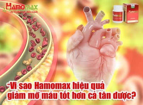 Vì sao Hamomax hiệu quả giảm mỡ máu không gây tác dụng phụ