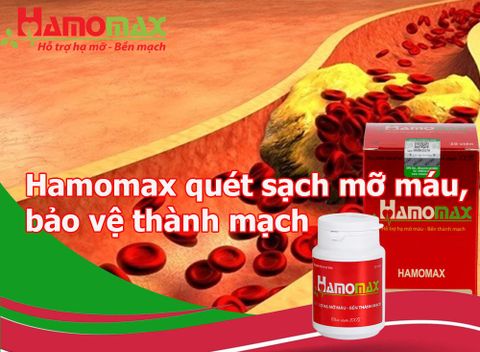 Vì sao Hamomax quét sạch mỡ máu, bảo vệ thành mạch an toàn, hiệu quả