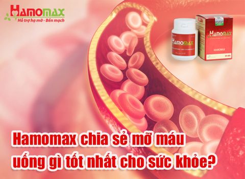 Hamomax chia sẻ mỡ máu uống gì tốt nhất cho sức khỏe?