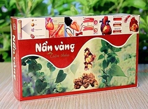 Nần vàng tiên thảo – Thảo dược giảm mỡ máu an toàn hiệu quả cao