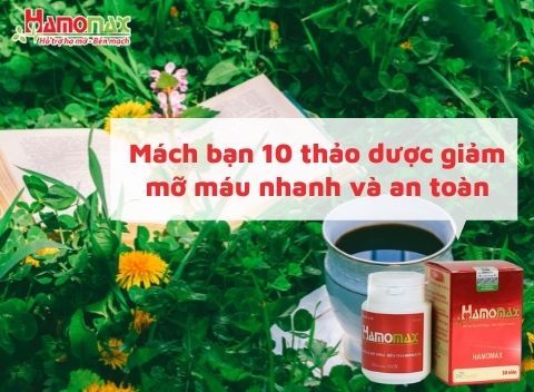 Mách bạn chi tiết 10 thảo dược giảm mỡ máu nhanh và an toàn