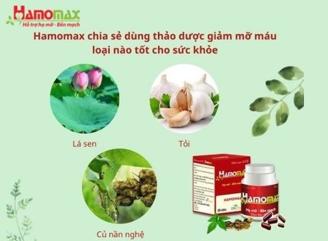 Hamomax chia sẻ dùng thảo dược giảm mỡ máu loại nào tốt cho sức khỏe