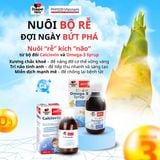 🎋 Nuôi bộ rễ – Đợi ngày bứt phá 🎋