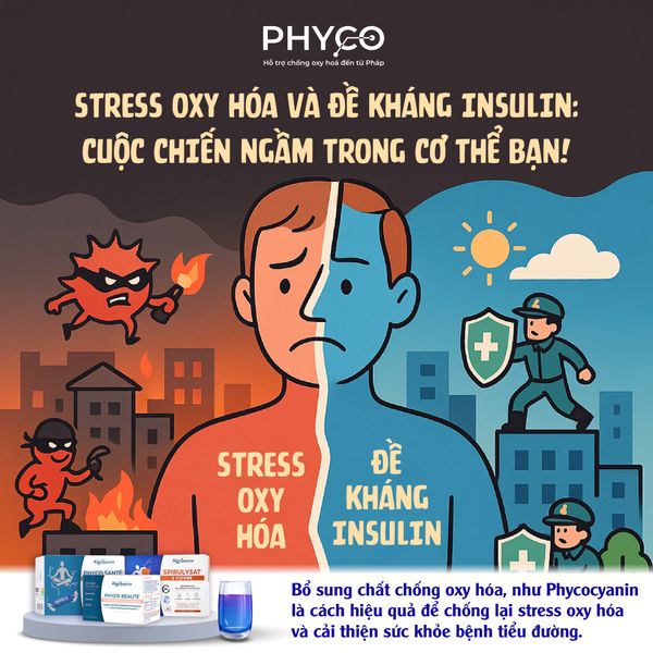 🧬 STRESS OXY HÓA VÀ ĐỀ KHÁNG INSULIN  🔥 CUỘC CHIẾN NGẦM TRONG CƠ THỂ BẠN!