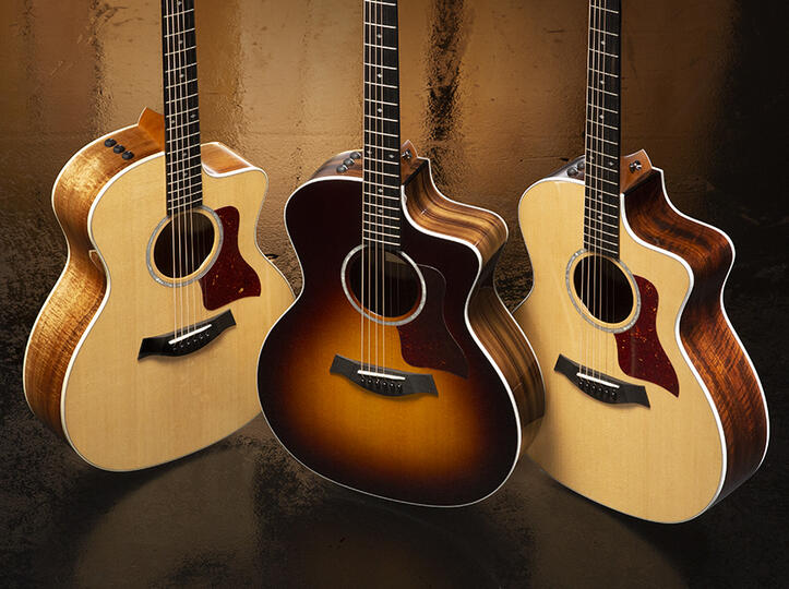 Taylor Guitar 200 Series