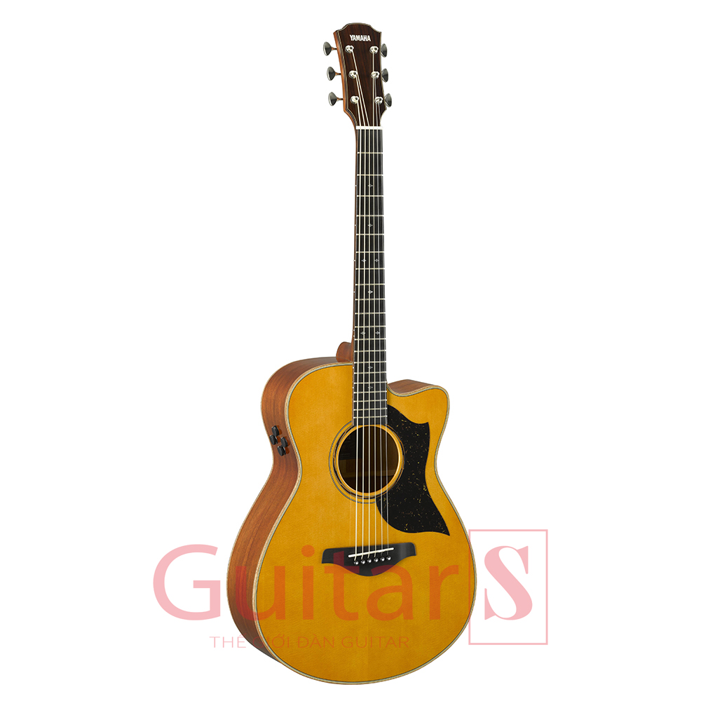 Đàn Guitar Yamaha AC5M Acoustic